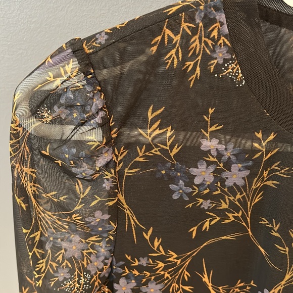 Sheer RW blouse - Picture 2 of 5